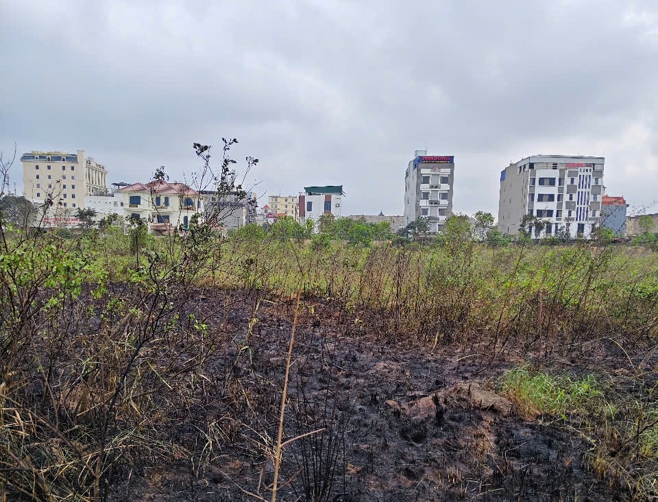 Dập tắt đám cháy khu vực gần trường Cao đẳng VMU (quận Hồng Bàng)